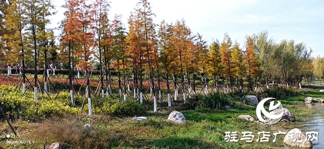 駐馬店：初冬濱河惹人醉