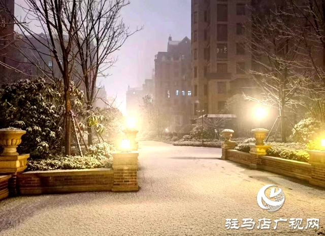 河南駐馬店：寒冬初雪時