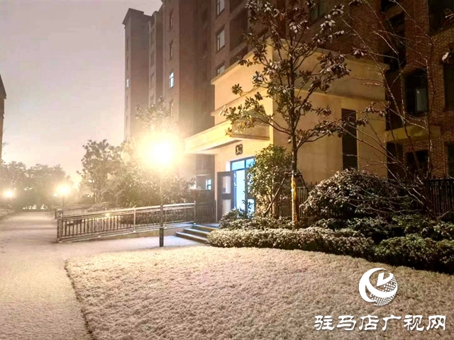 河南駐馬店：寒冬初雪時