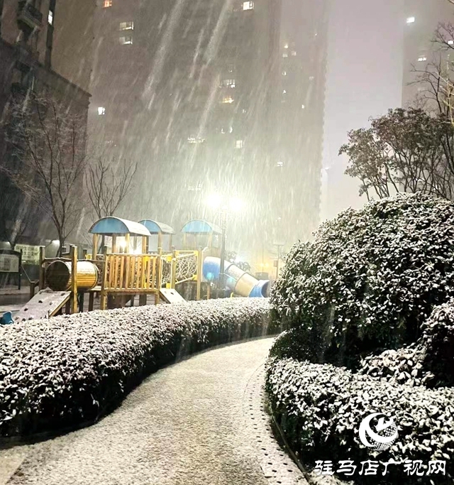 河南駐馬店：寒冬初雪時