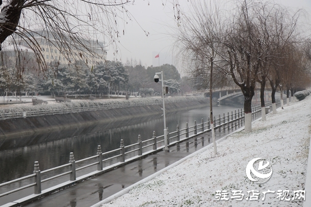 駐馬店飄雪了