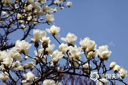 注意！冷空氣來了，部分地區(qū)降溫可達12℃以上