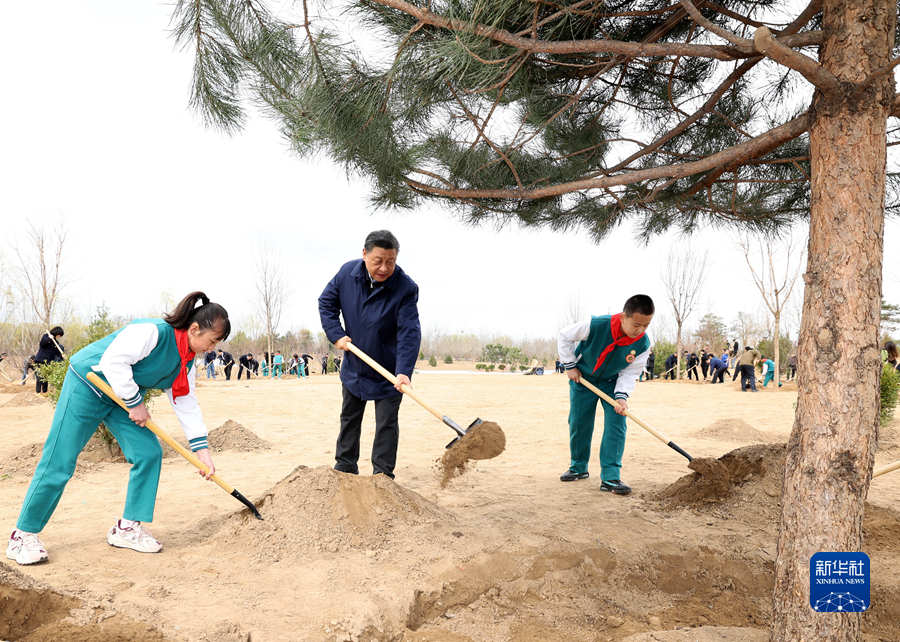 習近平參加首都義務植樹活動