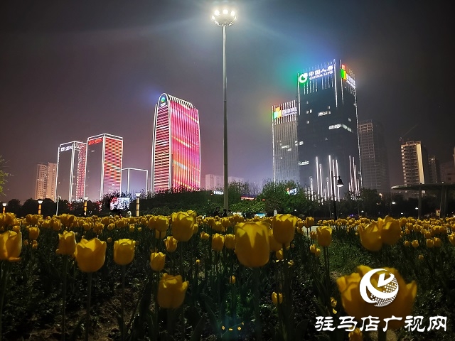 駐馬店：璀璨燈光扮靚城市夜景