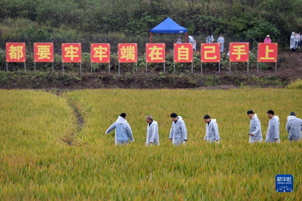 “國家科技創(chuàng)新力的根本源泉在于人”——習(xí)近平關(guān)心科技工作者的故事