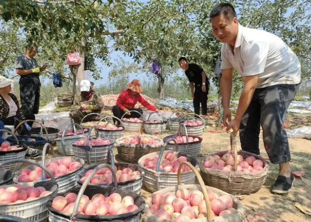 新征程號(hào)角丨想人民之所想 行人民之所囑