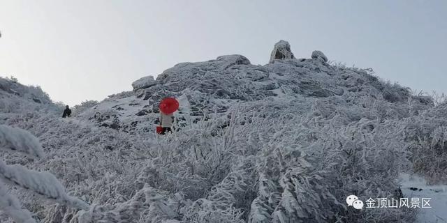 「金頂●冬雪」忽如一夜春風(fēng)來，千樹萬樹梨花開