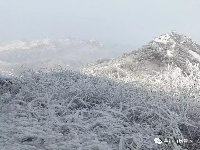 「金頂●冬雪」忽如一夜春風(fēng)來，千樹萬樹梨花開