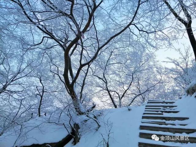 「金頂●冬雪」忽如一夜春風(fēng)來，千樹萬樹梨花開