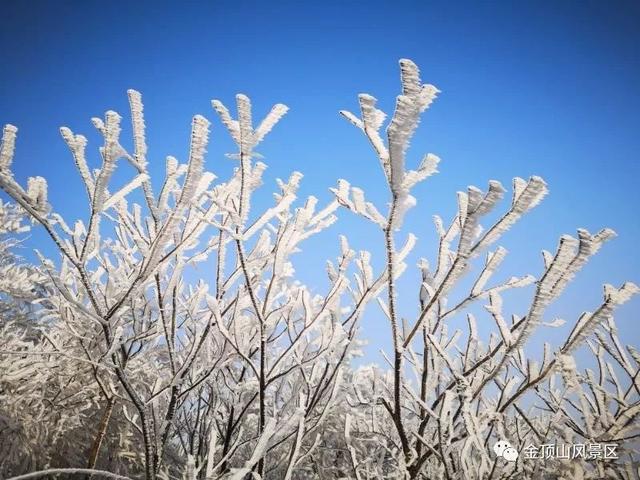 「金頂●冬雪」忽如一夜春風(fēng)來，千樹萬樹梨花開