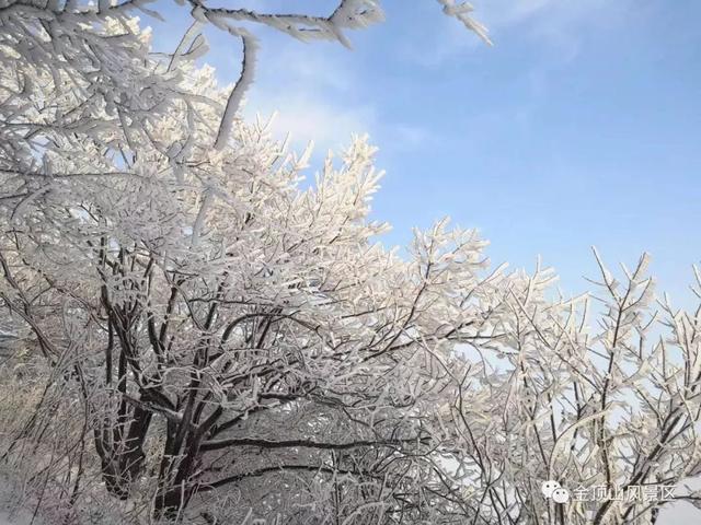 「金頂●冬雪」忽如一夜春風(fēng)來，千樹萬樹梨花開