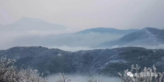 「金頂●冬雪」忽如一夜春風(fēng)來，千樹萬樹梨花開