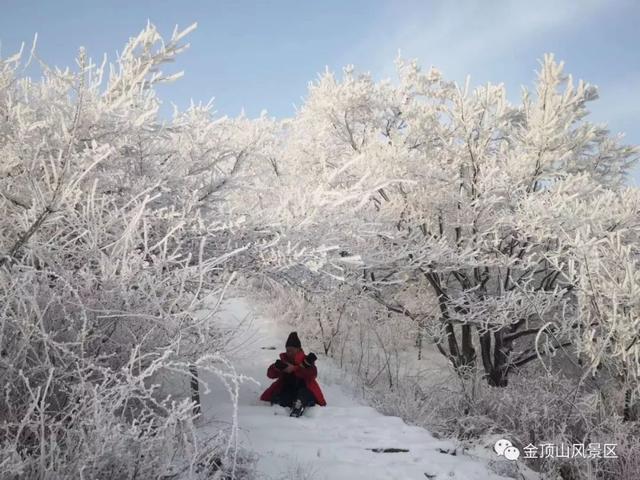 「金頂●冬雪」忽如一夜春風(fēng)來，千樹萬樹梨花開