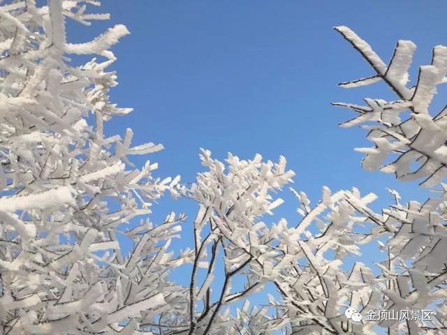 「金頂●冬雪」忽如一夜春風(fēng)來，千樹萬樹梨花開