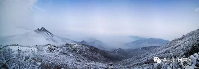 「金頂●冬雪」忽如一夜春風(fēng)來，千樹萬樹梨花開