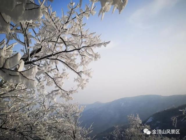 「金頂●冬雪」忽如一夜春風(fēng)來，千樹萬樹梨花開