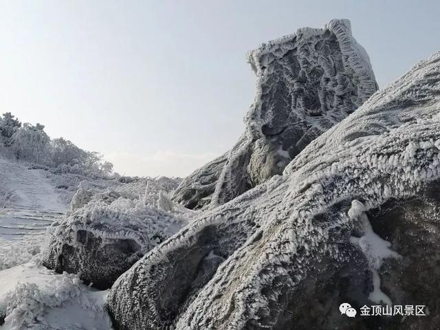 「金頂●冬雪」忽如一夜春風(fēng)來，千樹萬樹梨花開