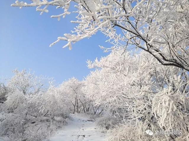 「金頂●冬雪」忽如一夜春風(fēng)來，千樹萬樹梨花開