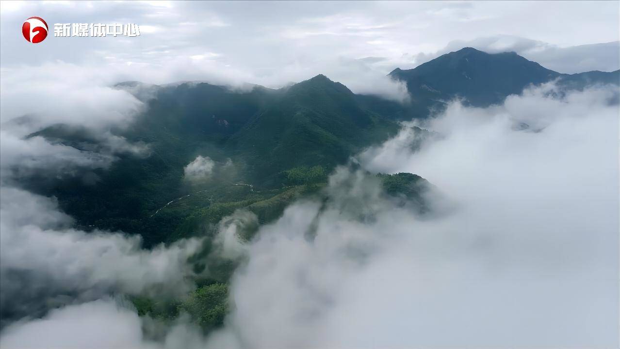  “請(qǐng)總書(shū)記放心，我們一定會(huì)把大灣村建設(shè)得更美更好”