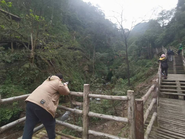 峨眉山猴子被拘留？假的！峨眉山猴子是國家二級保護(hù)動物