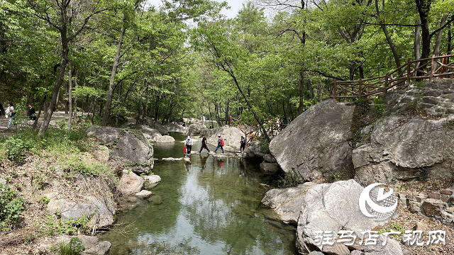 祥龍谷景區(qū)第三屆“山花節(jié)”暨旅行社采線啟動儀式成功舉行