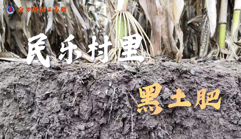 奮力耕耘正當(dāng)時(shí)——農(nóng)業(yè)強(qiáng)國建設(shè)一線的四個(gè)故事