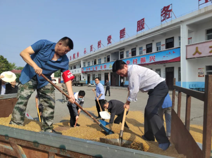 風吹麥浪黨旗紅 助農惠民促振興——市紀委監(jiān)委機關黨員突擊隊助力“三夏”生產