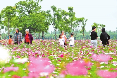 新時(shí)代 新征程 新偉業(yè)丨國(guó)際花園城市競(jìng)賽，信陽(yáng)憑啥“蟾宮折桂”