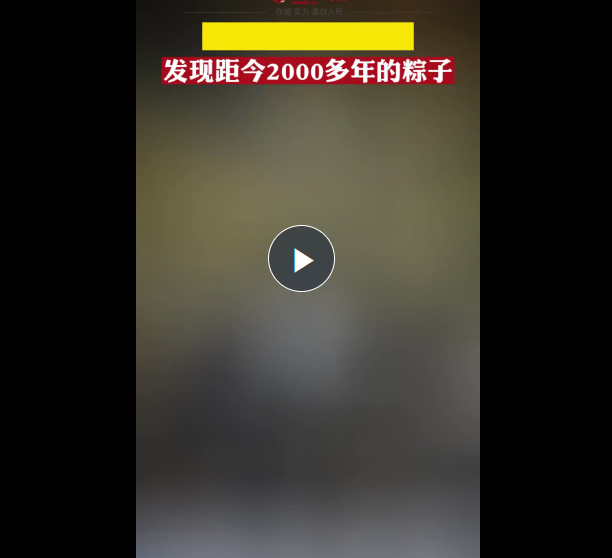 河南考古發(fā)現(xiàn)距今2000多年的粽子