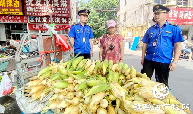 驛城區(qū)：“城管藍(lán)”戰(zhàn)高溫守護(hù)城市“容顏”