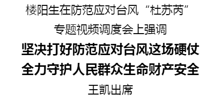 防范應對臺風“杜蘇芮”專題視頻調度會召開