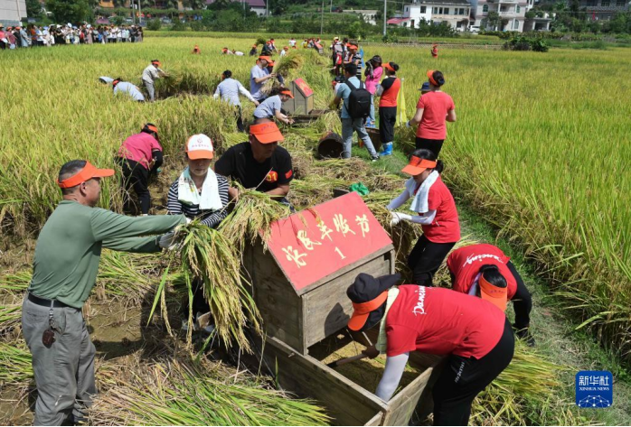 中國農(nóng)民豐收節(jié)｜古詩詞里的豐收之韻