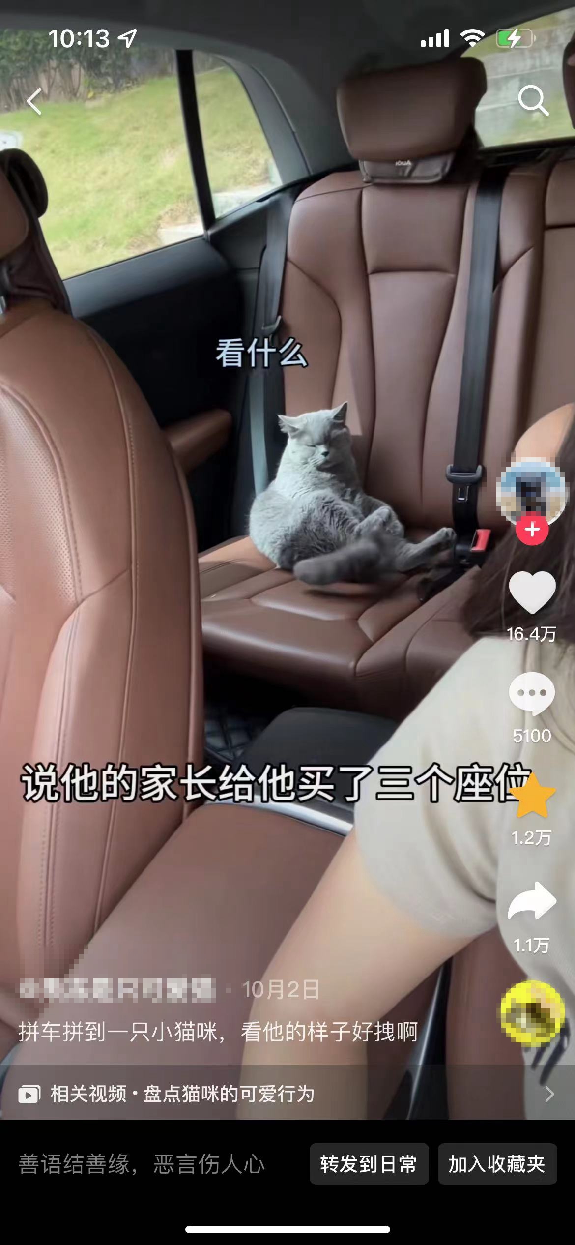 順風(fēng)車亂象：起猛了，拼車拼到狗子