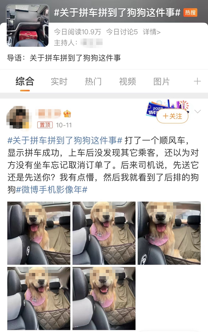 順風(fēng)車亂象：起猛了，拼車拼到狗子