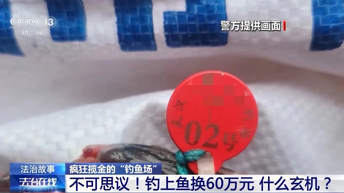 一條魚價(jià)值60萬(wàn)元？釣魚場(chǎng)變“賭場(chǎng)” 警方抓獲86人