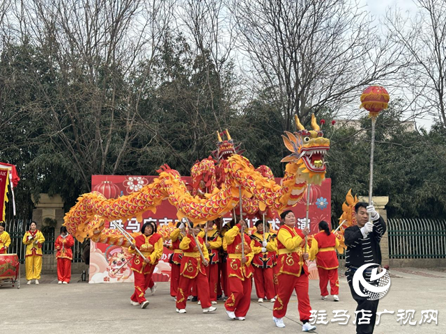 大飽眼福！駐馬店市非遺與民間藝術(shù)展演在這里開演了