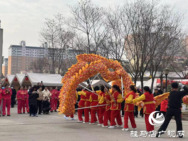 大飽眼福！駐馬店市非遺與民間藝術(shù)展演在這里開演了