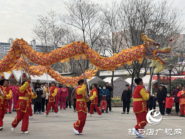 大飽眼福！駐馬店市非遺與民間藝術展演在這里開演了