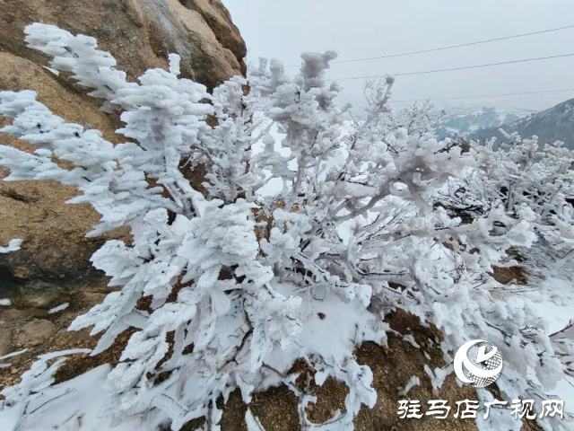 美呆了！羅漢山開啟雪凇、霧凇雙景齊現(xiàn)模式