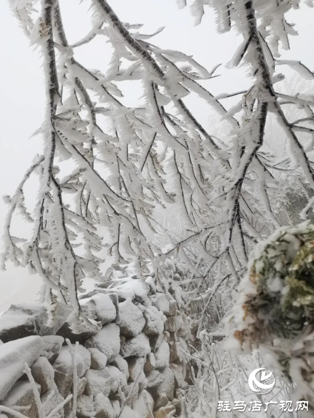 美呆了！羅漢山開啟雪凇、霧凇雙景齊現(xiàn)模式