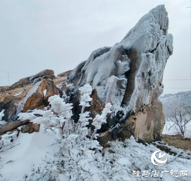 美呆了！羅漢山開啟雪凇、霧凇雙景齊現(xiàn)模式