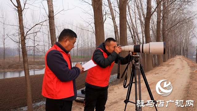 寒冬，他們在宿鴨湖濕地守護候鳥