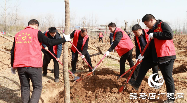 驛城區(qū)：植樹(shù)添新綠 不負(fù)好春光