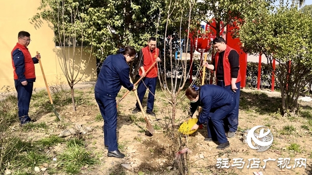  攜手植綠護(hù)綠 共建美好家園