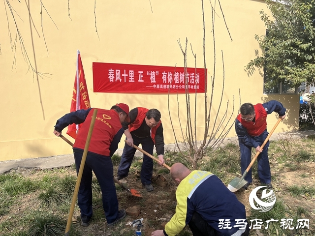  攜手植綠護(hù)綠 共建美好家園