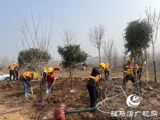 駐馬店：“高手”對(duì)決園林綠化技能大賽