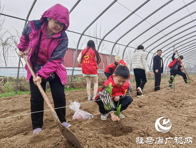 駐馬店市消維會開展公益植樹活動