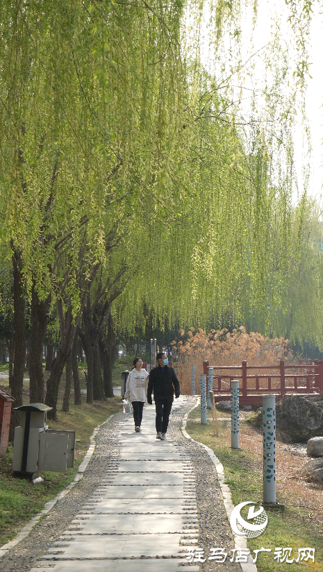 春日綻放：黃淮校園里的新生機(jī)