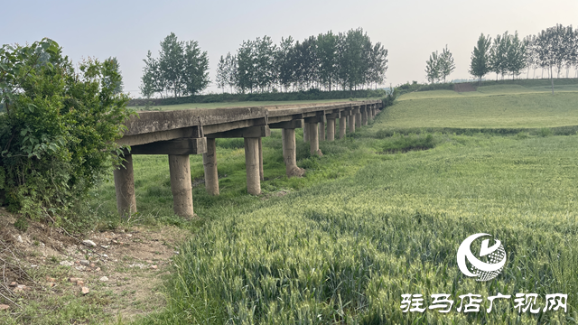 遂平縣車站街道：生產橋年久失修 群眾期盼麥收能通行