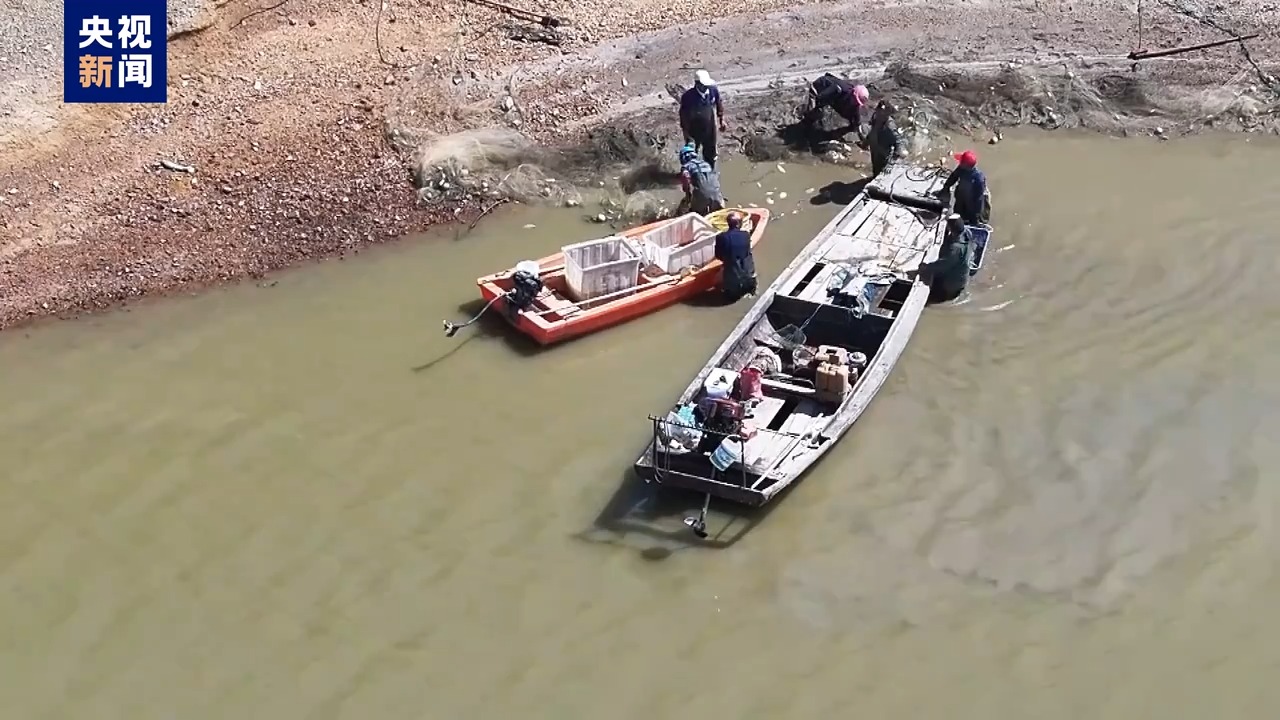 毀林種咖啡、江豚慘死 中央生態(tài)環(huán)保督察通報七地典型案例